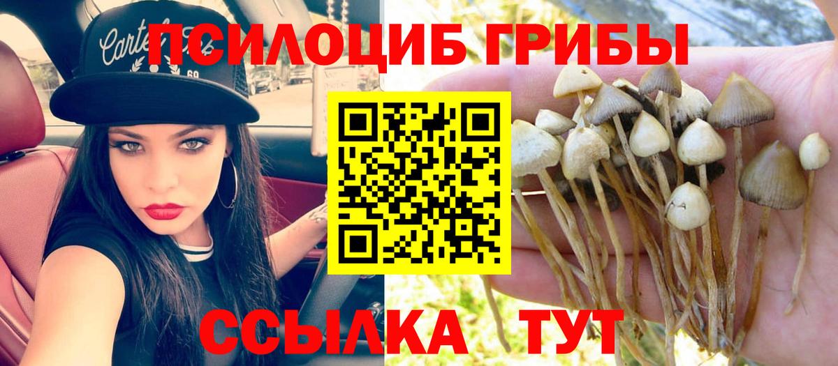 Сегежа  Галлюциногенные грибы Psilocybine cubensis  Галлюциногенные грибы Magic Shrooms  Вход с VPN 